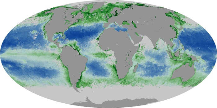 Global Map Chlorophyll Image 205