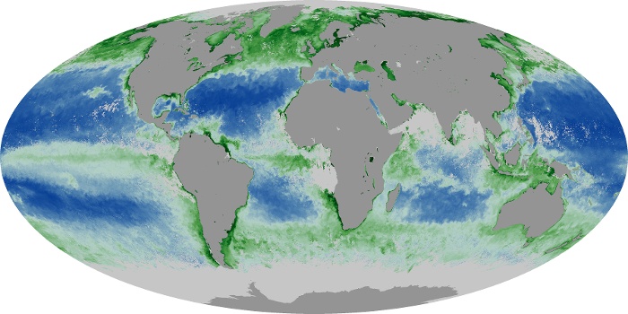 Global Map Chlorophyll Image 206