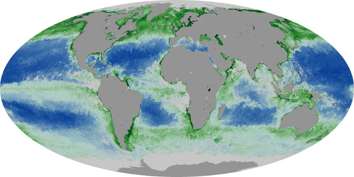 Global Map Chlorophyll Image 207