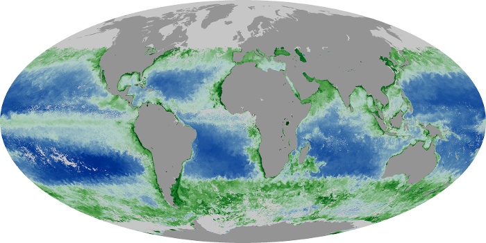 Global Map Chlorophyll Image 210