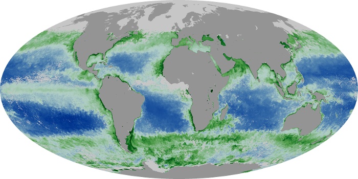 Global Map Chlorophyll Image 211