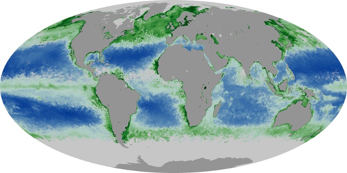 Global Map Chlorophyll Image 215