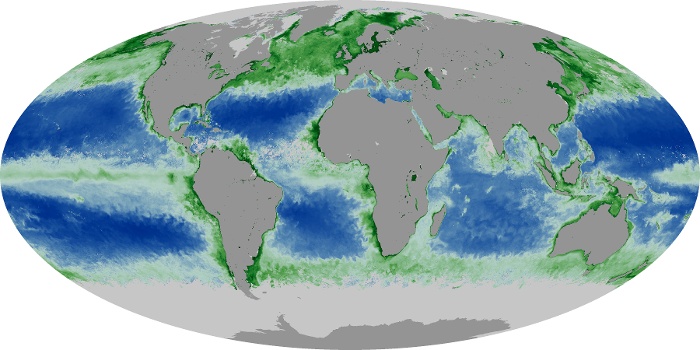 Global Map Chlorophyll Image 167