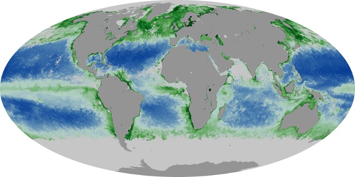 Global Map Chlorophyll Image 216