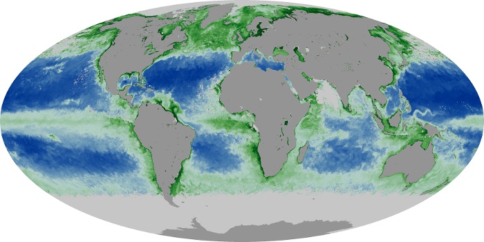 Global Map Chlorophyll Image 169