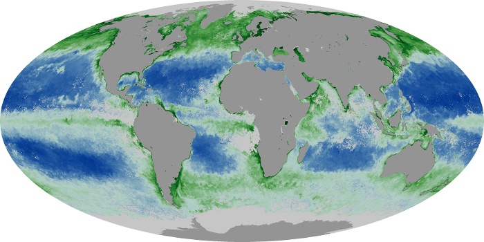 Global Map Chlorophyll Image 219