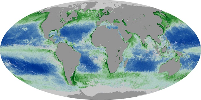 Global Map Chlorophyll Image 220