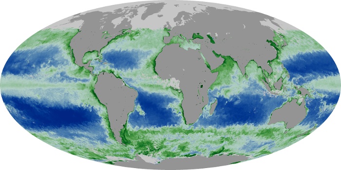 Global Map Chlorophyll Image 175