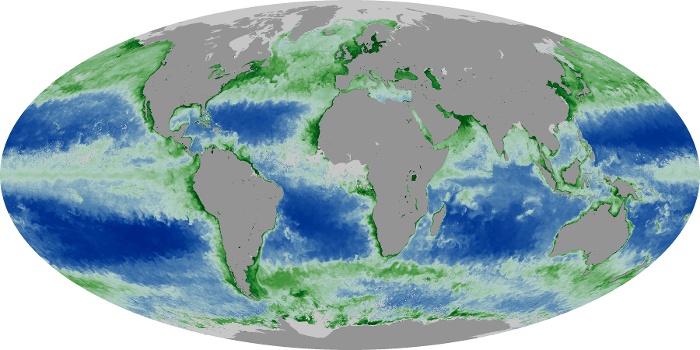 Global Map Chlorophyll Image 225