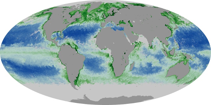 Global Map Chlorophyll Image 229