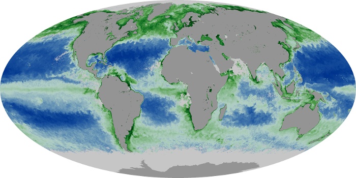 Global Map Chlorophyll Image 182