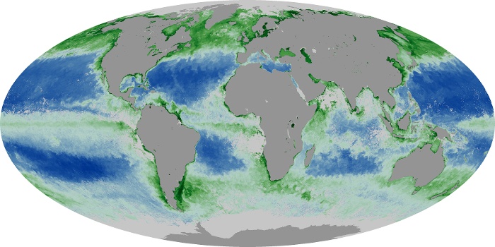 Global Map Chlorophyll Image 231