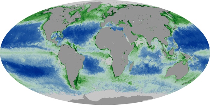 Global Map Chlorophyll Image 231