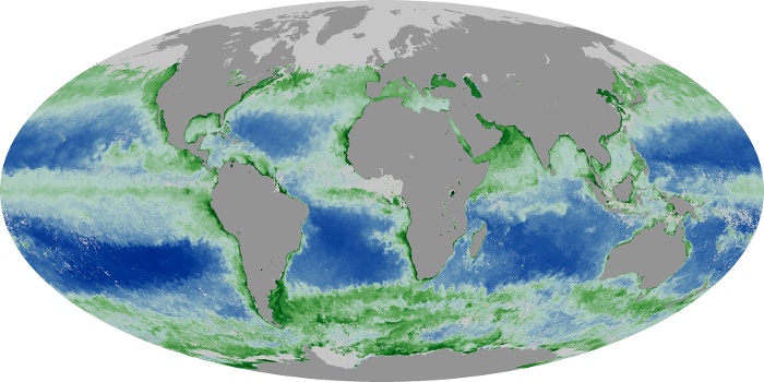 Global Map Chlorophyll Image 235