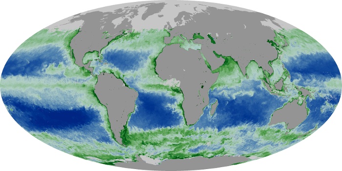 Global Map Chlorophyll Image 235