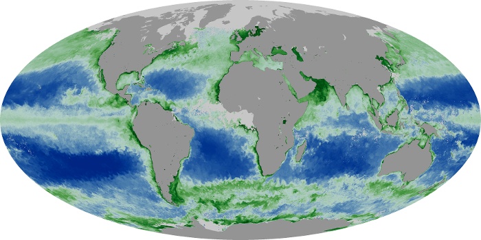 Global Map Chlorophyll Image 188