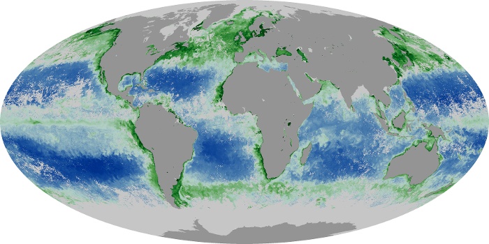Global Map Chlorophyll Image 238