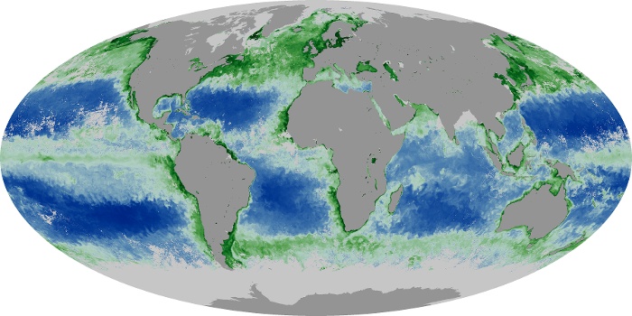 Global Map Chlorophyll Image 238