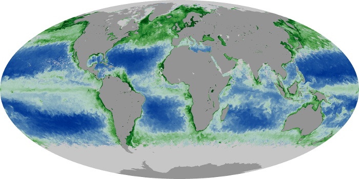 Global Map Chlorophyll Image 191