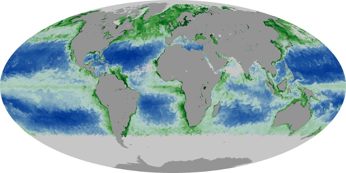 Global Map Chlorophyll Image 240