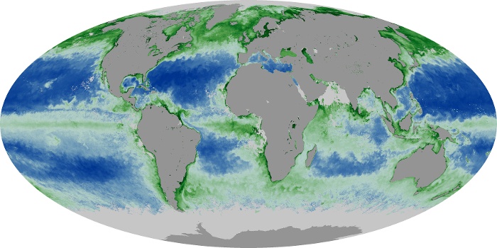 Global Map Chlorophyll Image 242
