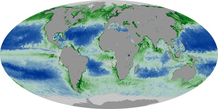 Global Map Chlorophyll Image 195