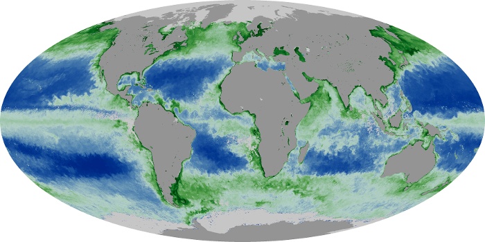 Global Map Chlorophyll Image 244