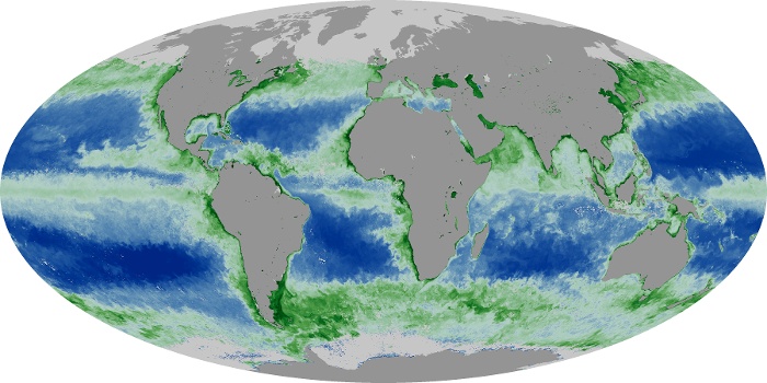 Global Map Chlorophyll Image 197