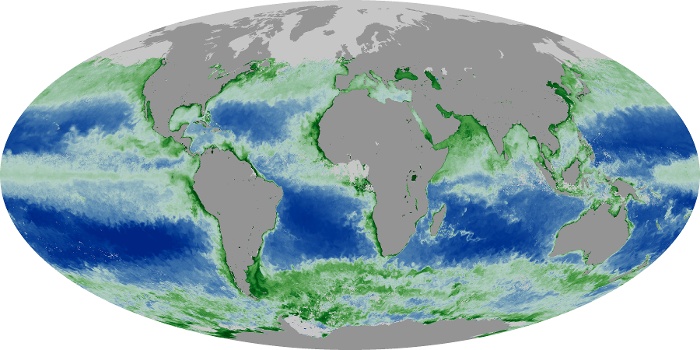 Global Map Chlorophyll Image 247
