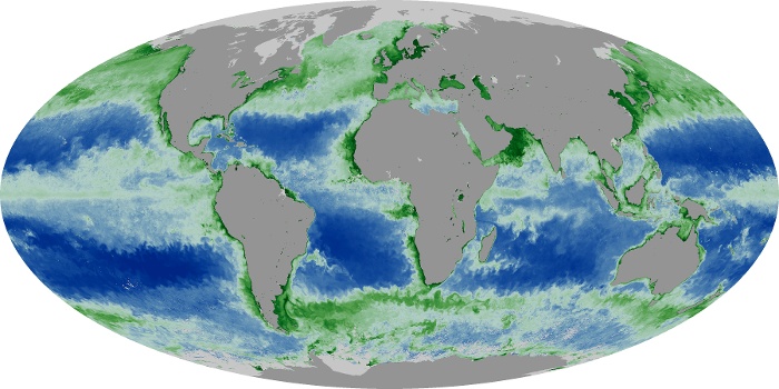 Global Map Chlorophyll Image 201