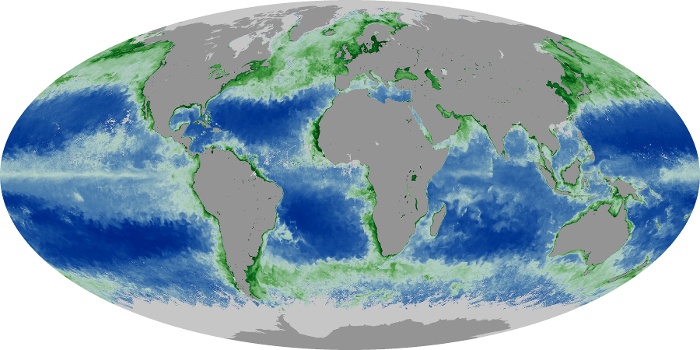 Global Map Chlorophyll Image 250
