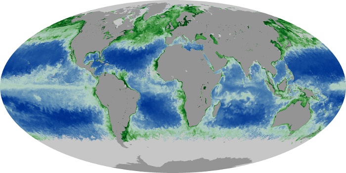 Global Map Chlorophyll Image 251