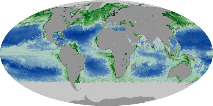 Global Map Chlorophyll Image 252