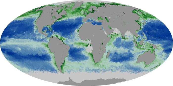 Global Map Chlorophyll Image 254