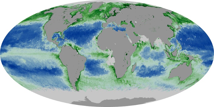 Global Map Chlorophyll Image 254