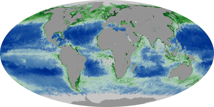Global Map Chlorophyll Image 255