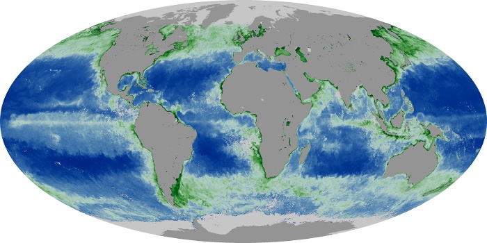 Global Map Chlorophyll Image 256