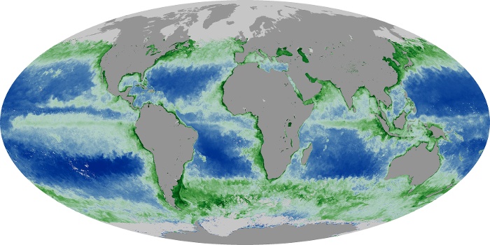 Global Map Chlorophyll Image 257