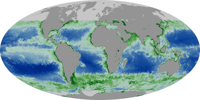 Global Map Chlorophyll Image 258