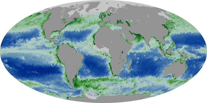 Global Map Chlorophyll Image 260
