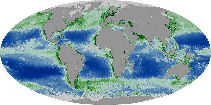 Global Map Chlorophyll Image 261