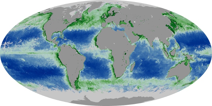 Global Map Chlorophyll Image 262
