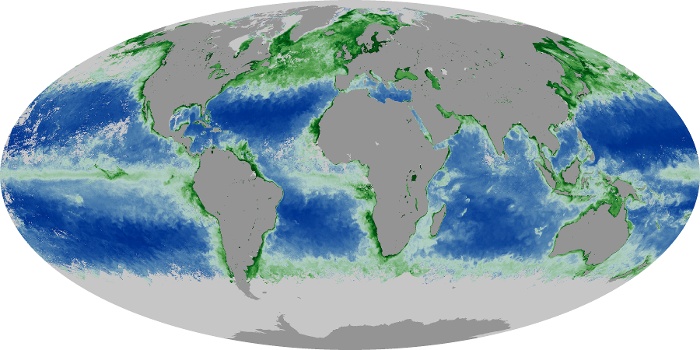 Global Map Chlorophyll Image 263