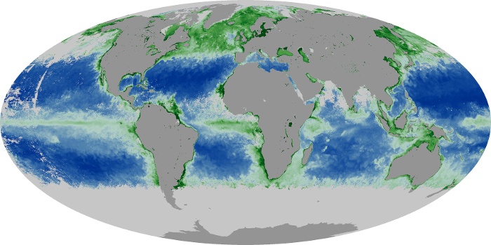 Global Map Chlorophyll Image 264