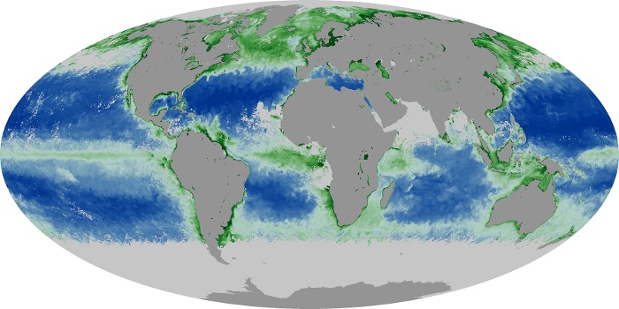 Global Map Chlorophyll Image 265