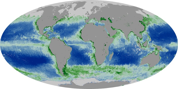 Global Map Chlorophyll Image 269