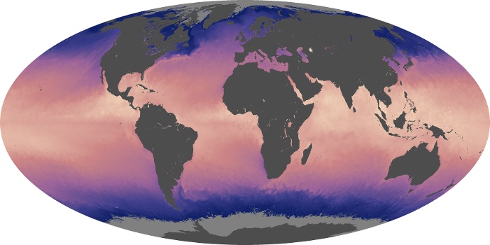 Global Map Sea Surface Temperature Image 203