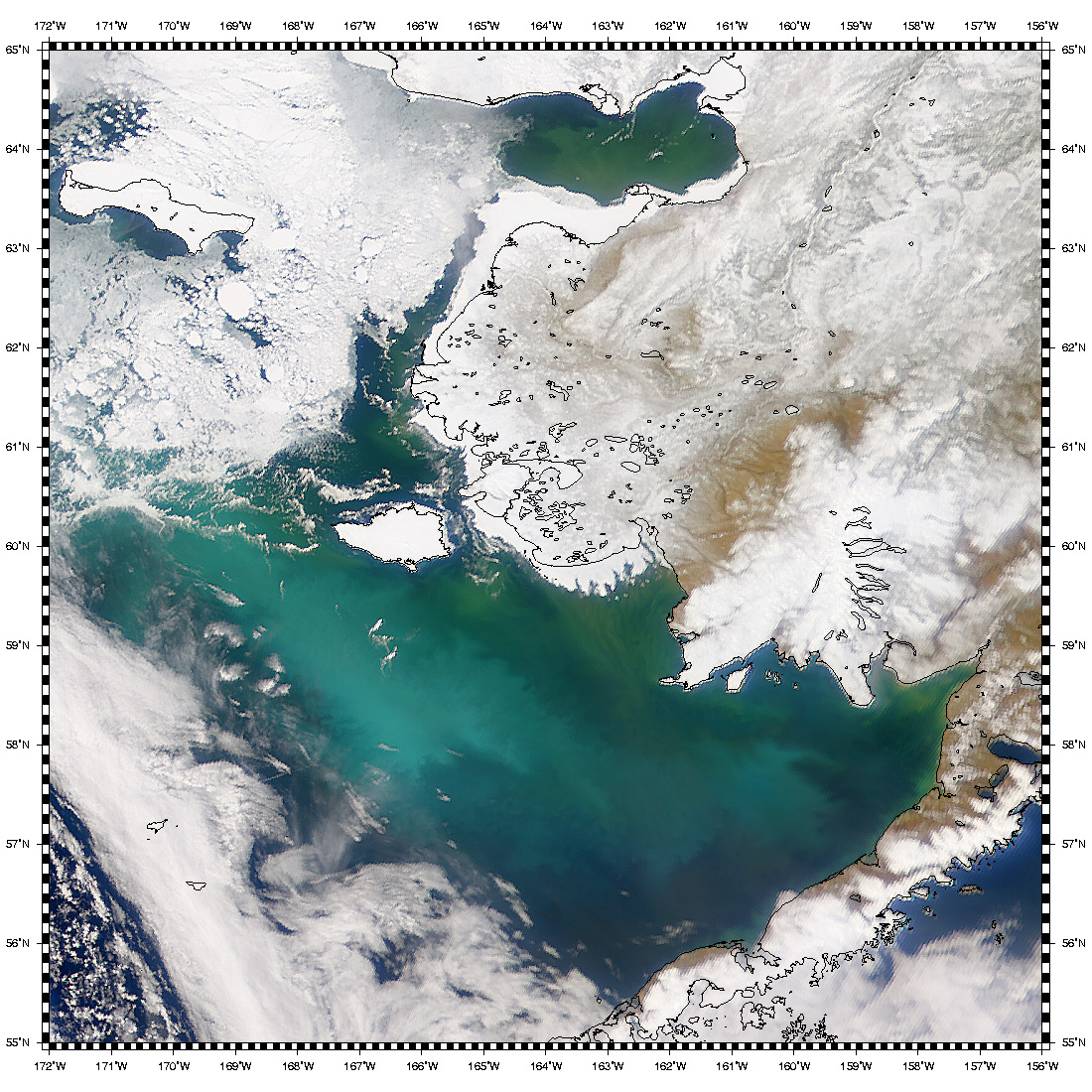 New Coccolithophore Bloom in Bering Sea - related image preview