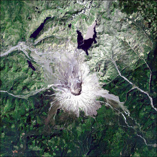 Wiedergeburt des Mount St. Helens
