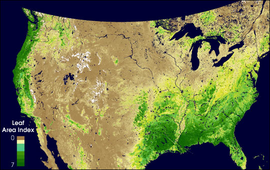 MODIS Measures Total U.S. Leaf Area